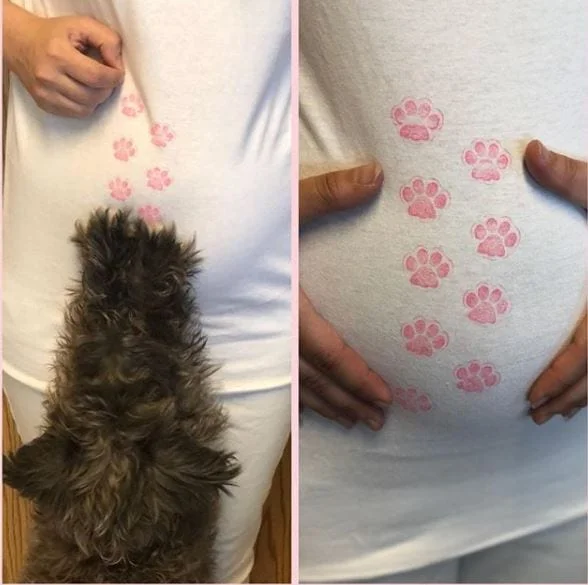 dog print gender reveal