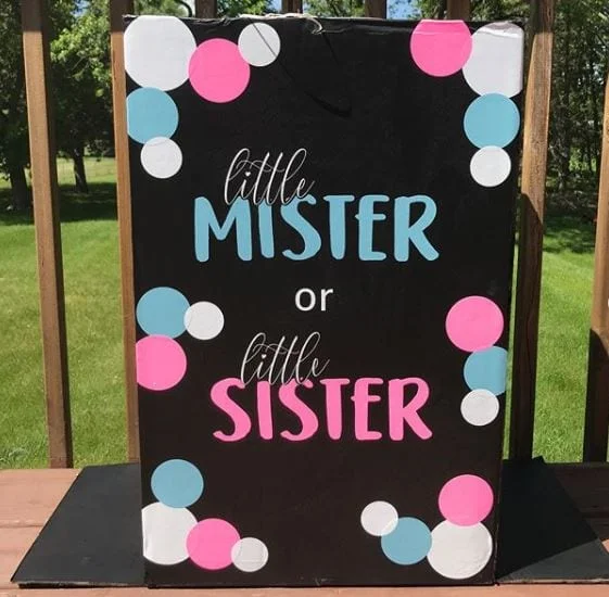 little mister or little sister gender reveal