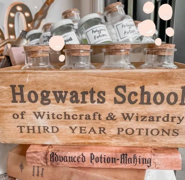 harry potter party decor