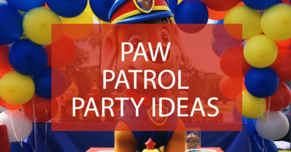 party patrol party ideas